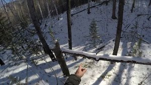 Охота на рябчика. Осень 2022.(часть 2).