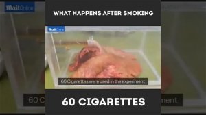 Что будет если выкурить 60 сигарет