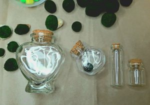 Маримо Кладофора Бутылочки Новое поступление!  8 декабря 2023 г.