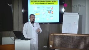 Полезен ли турманиевый мат Нуга Бест? Мнение врача