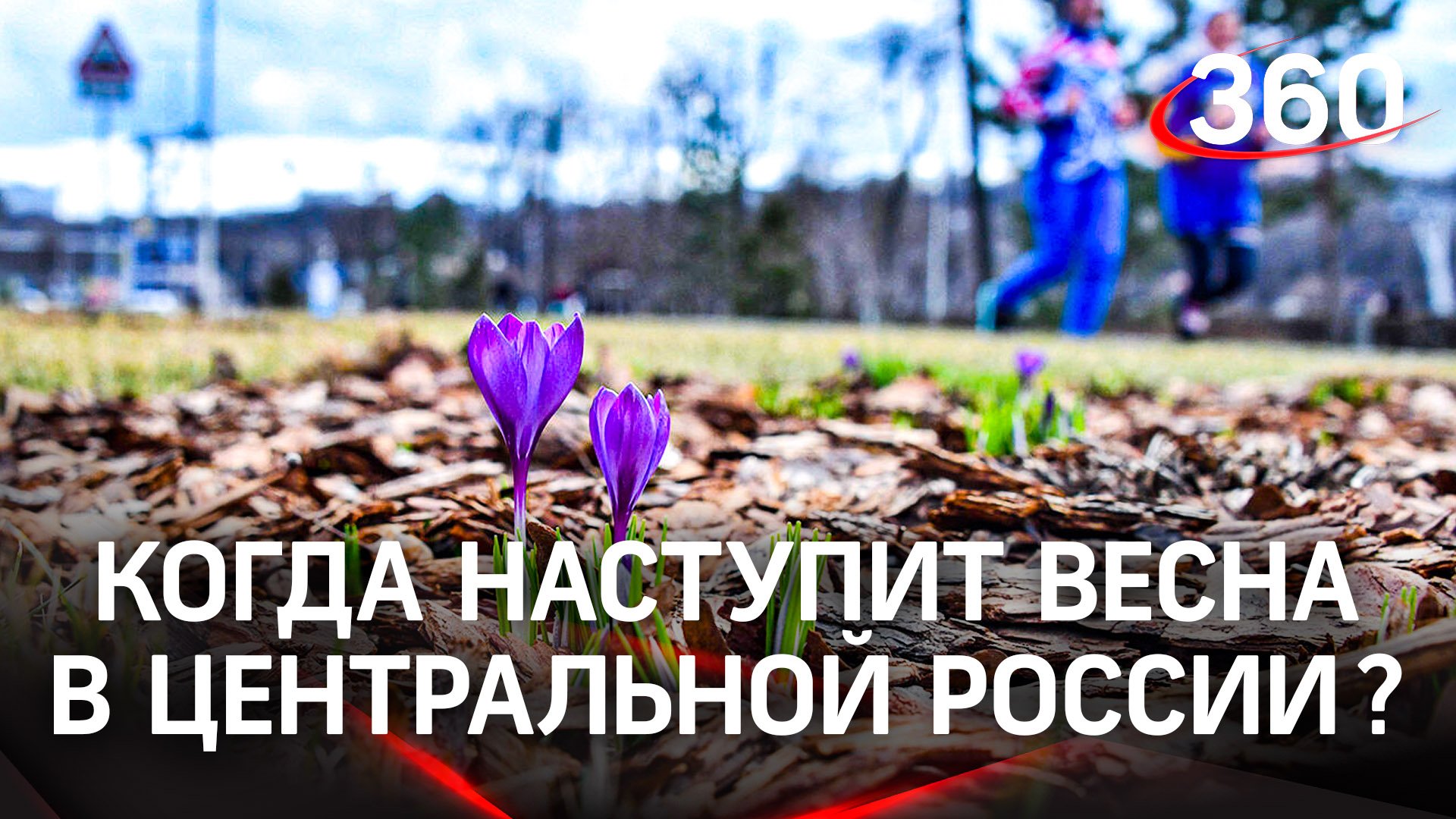 «Не раньше конца марта»: когда придет весна в центральную часть России