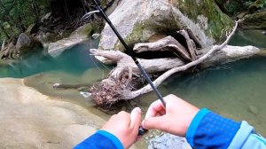 CHUB FISHING with SOULS Explorer Trout Finalist TF-E56ULS