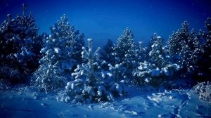 ФУТАЖ  СКАЗОЧНЫЙ ЛЕС