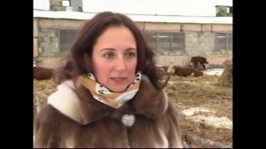 Топинамбур лучший корм для селькозяйственных животных