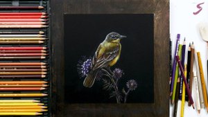 Марафон «На старт, внимание, май!» 5.Птичка