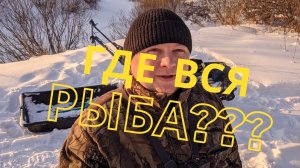Куда вся рыба делась ??? Видео с подводной камеры.