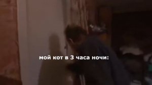 муд беременна в 16