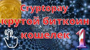 Cryptopay крутой биткоин кошелек