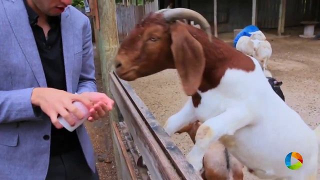 Live Life In Springfield Missouri - Travel & Tourism смотреть онлайн