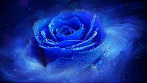 03. Даниил Андреев. Роза Мира. Книга 1. Глава 3. Отношение к религиям.mp4