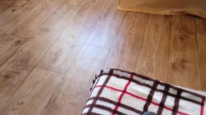 Skyworth G6 обзор после покупки