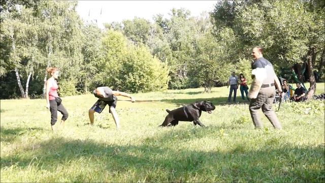 Защита тест смотреть онлайн