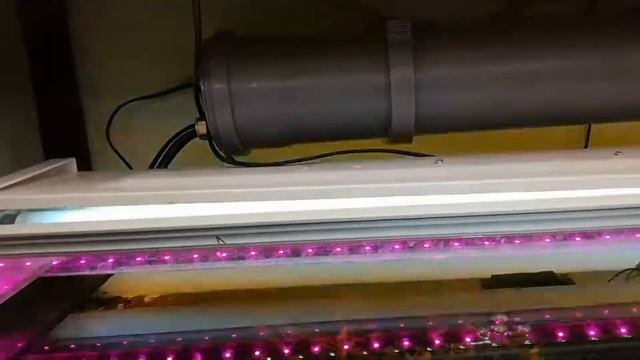 Самодельный недорогой внешник для аквариума.