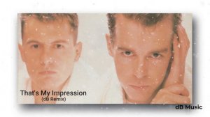 Pet Shop Boys - That's My Impression (dB Remix)