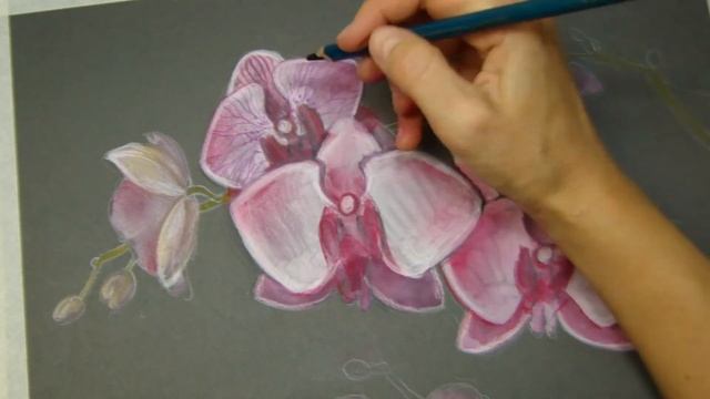 Come #disegnare #ORCHIDEA #How to #Draw #ORCHIDS #ОРХИДЕЯ как #нарисовать смотреть онлайн