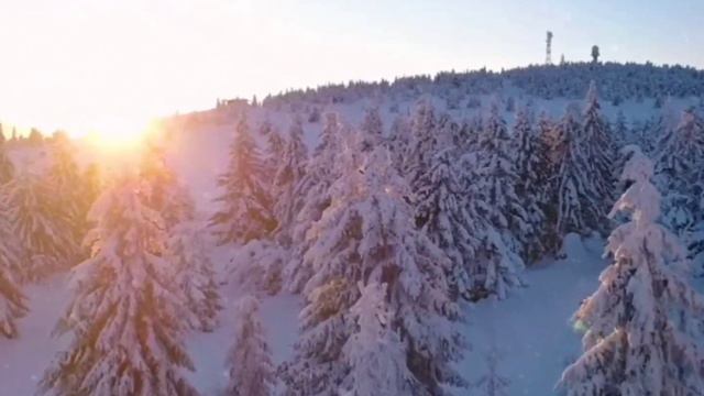 Dance Monkey-Tones and I.(Saxophone Cover By 🎷Sevak Badalyan)(☎️+37493990430🇦🇲) смотреть онлайн