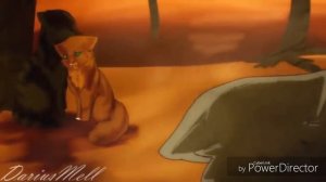 [Коты воители] Какие песни звучат в головах героев#2