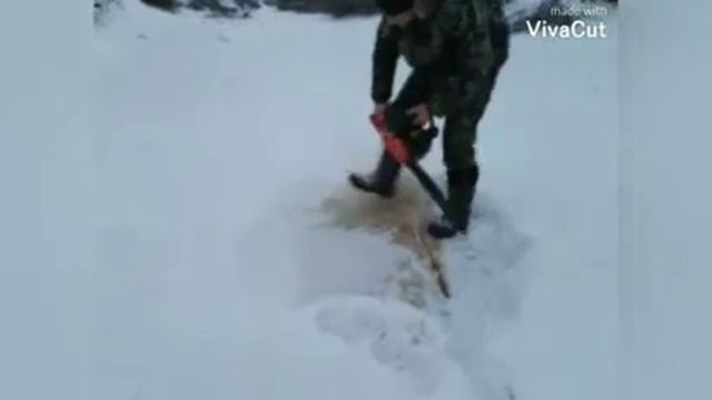 Проверка сетей!! Поставили ещё одну сеть, чтобы посмотреть какой будет улов!! смотреть онлайн