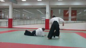 Curso de Aikido impartido por Shu Kitaura Sensei. Julio de 2018 en San Sebastián.