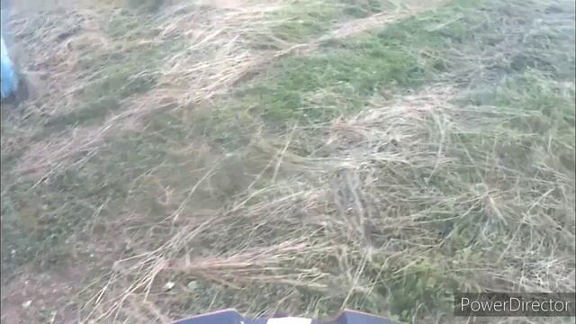 Прокатился на Avantis 150. Спокойная покатушка на Питбайке. смотреть онлайн