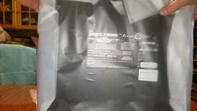 Unboxing: Fender Mustang 1 V2 20 Watt Combo Modeling Amplifier (1x8) смотреть онлайн