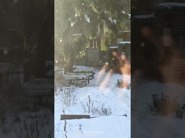 4 декабря 2022 г. смотреть онлайн