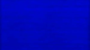 Техника Ниндзи. Роберт Басси.