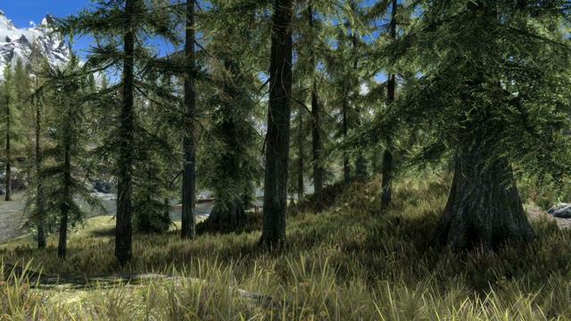 AMBIENT SOUND MEDITATION  Peaceful Forest Skyrim Ambience  Wind  Bird Sounds  ASMR