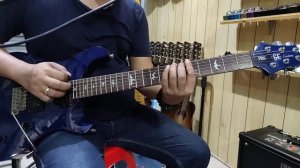 Review PRS Se Custom 24 made In Korea