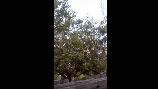 5 октября 2020 г смотреть онлайн