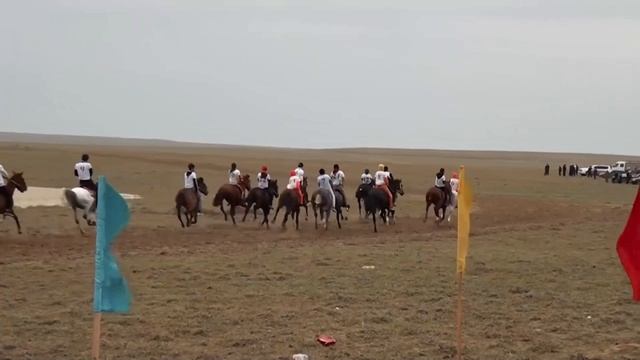 Аламан бәйге  III-место арабский жеребец Оқжетпес (Гвискар от Вивата и Галканы)