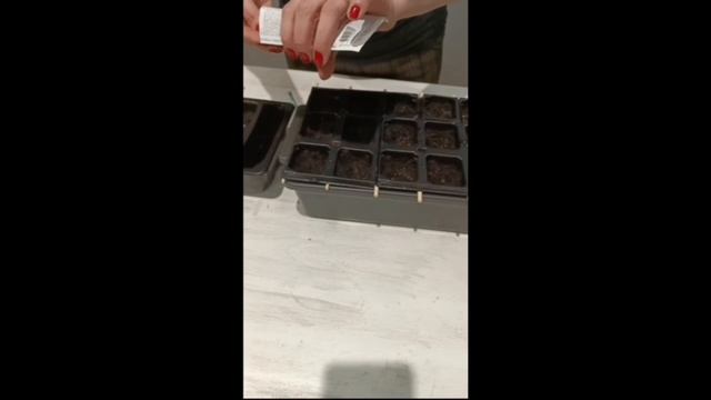 Выращивание зелени зимой на подоконнике
