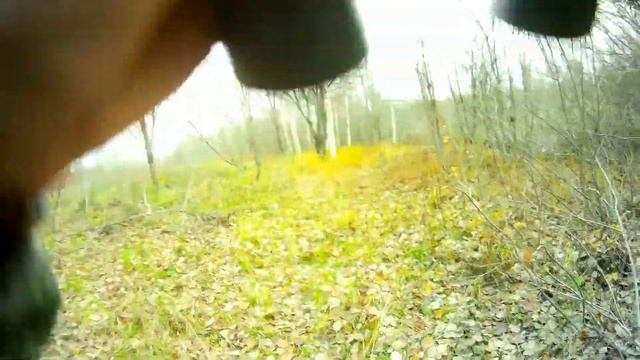 Бобровый лесоповал смотреть онлайн