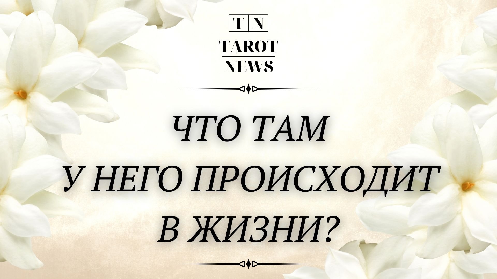 Как живет таро