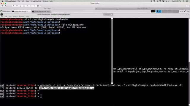 MSF Payload With Notepad.exe Template - Heur.AdvML.B смотреть онлайн