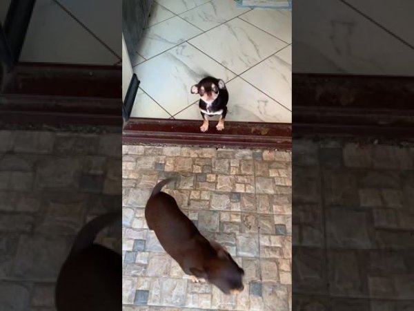 Пока рано.