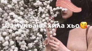 Песня-Жайна