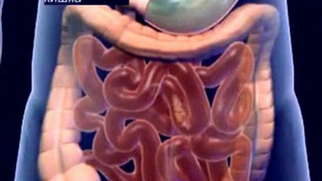 Ферменты (Digestion) смотреть онлайн