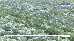 11 фермеров Чувашии получили грант "Агростартап"