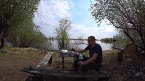 Как сохранить утку на охоте в теплую погоду.