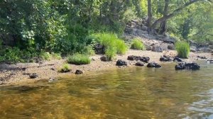 Самара - Поездка на Сап-борде - Пещера Братьев Греве - Что посмотреть и куда сплавать в Самаре