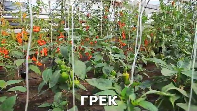 Передача 