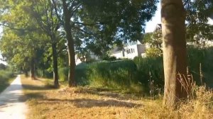 #Прогуляемся #поНашемуКварталу #полисадники #Netherlands