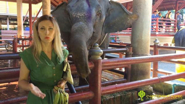 Где взять квартиру | Как купить квартиру если нет денег | Способы покупки квартиры | Купить квартир