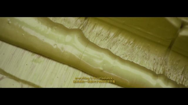 [VOST EN-CN] Pokras Lampas × Shanghai ART021 - An aesthetic journey