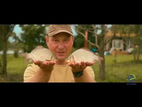 "Такая рыбалка" с Дмитрием Зимаревым на нашем водоеме