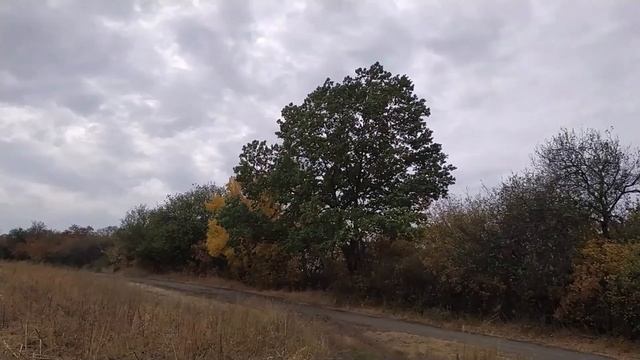 ОСЕНЬ В ЛЕСУ И НА ДАЧЕ. ВЕЧНАЯ ПАМЯТЬ ПОГИБШИМ ПОД ЧУГУЕВОМ. смотреть онлайн