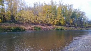 р. Сакмара Оренбургская область