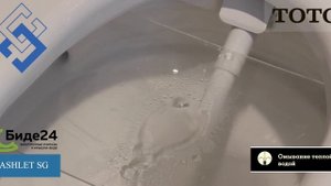 Обзор унитаза биде Toto Washlet SG TCF403EGV1