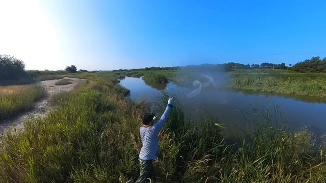 10 рыб за один заброс. Кастинговая сеть рыбалка смотреть онлайн